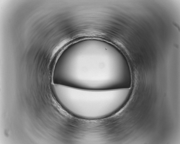 X0000100221114200805300742