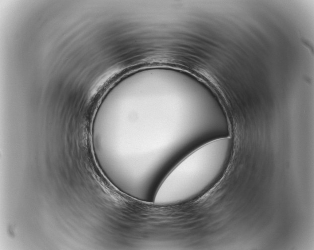 X0000100221115200805300742