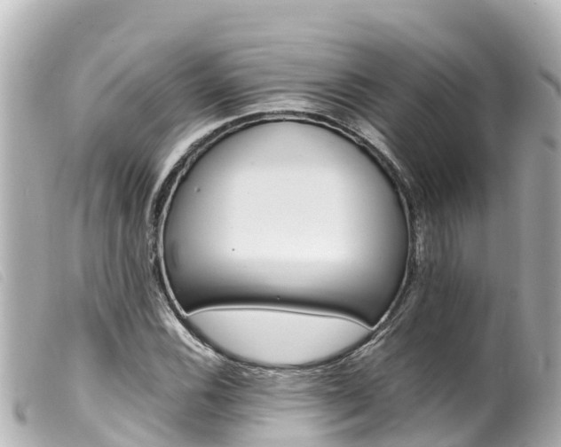 X0000100221116200805300742