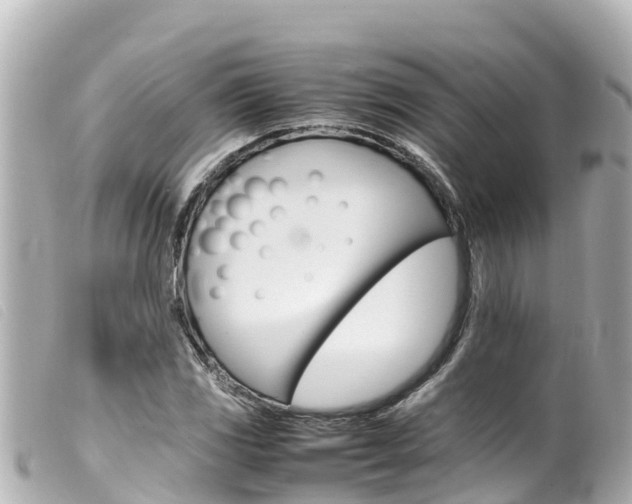 X0000100221117200805300742