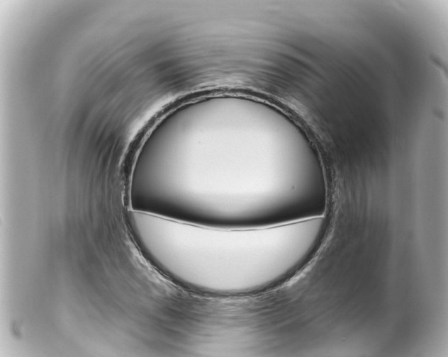 X0000100221118200805300742