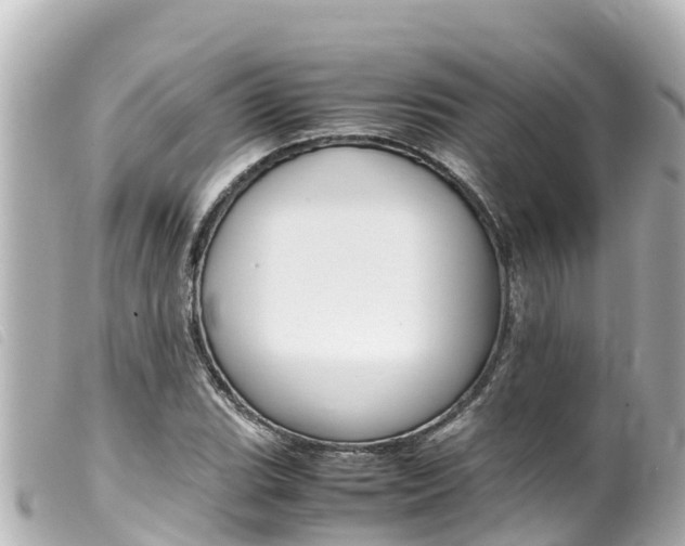 X0000100221119200805300742