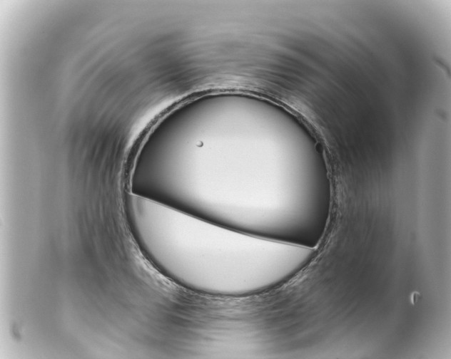X0000100221120200805300742