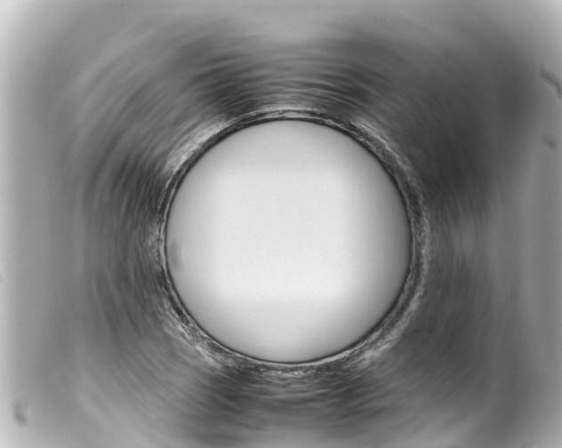 X0000100221121200805300742