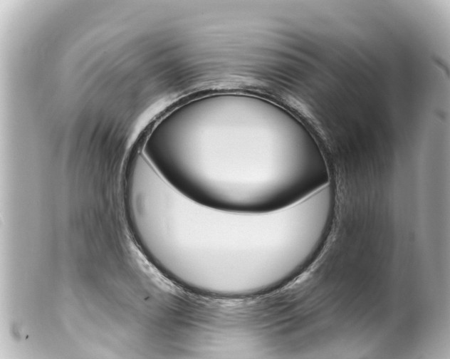 X0000100221122200805300742