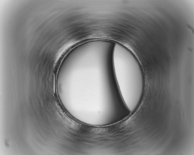 X0000100221123200805300742