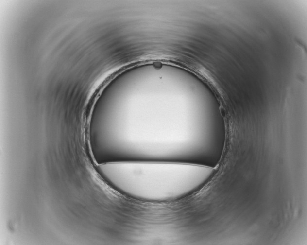 X0000100221124200805300742