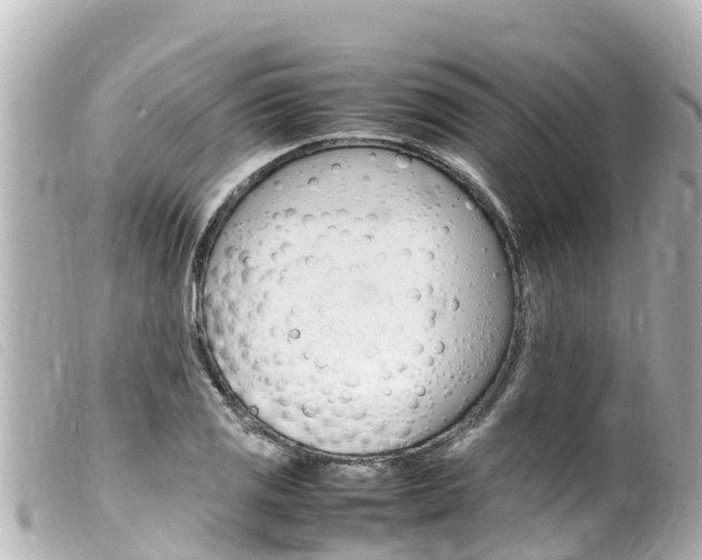 X0000100221125200805300742