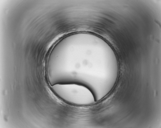 X0000100221126200805300742