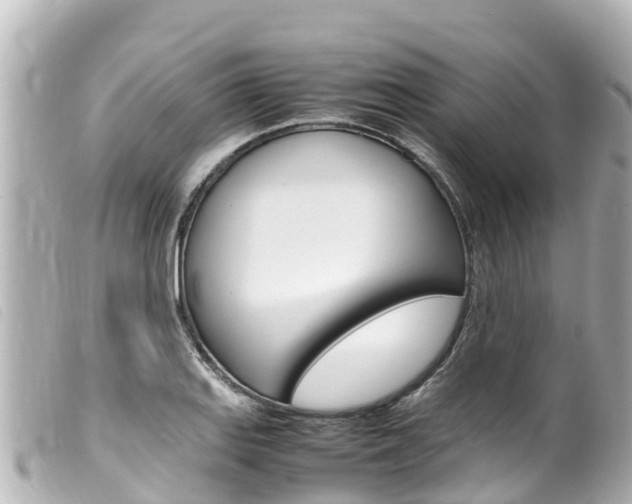 X0000100221127200805300742