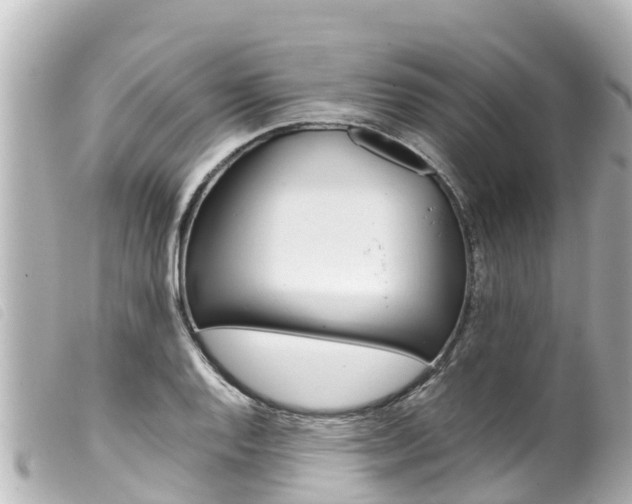 X0000100221128200805300742