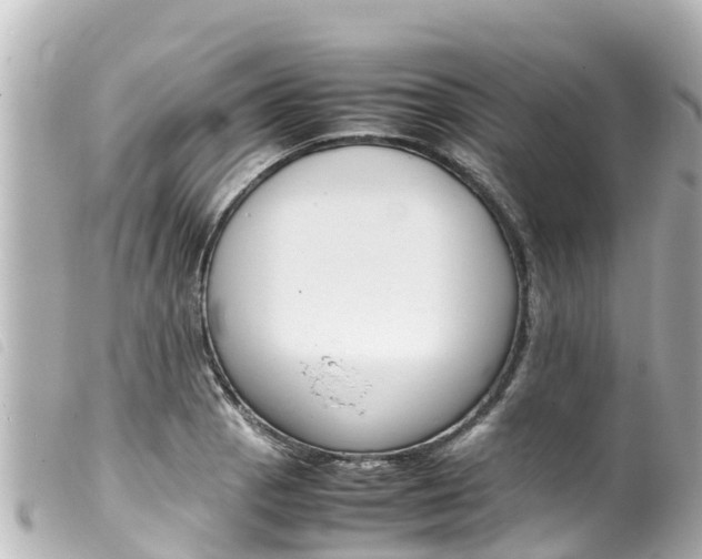 X0000100221129200805300742