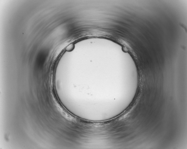 X0000100221130200805300742