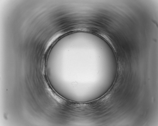 X0000100221131200805300742