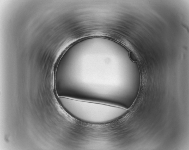 X0000100221132200805300742