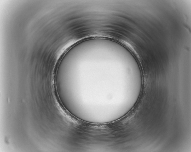 X0000100221133200805300742
