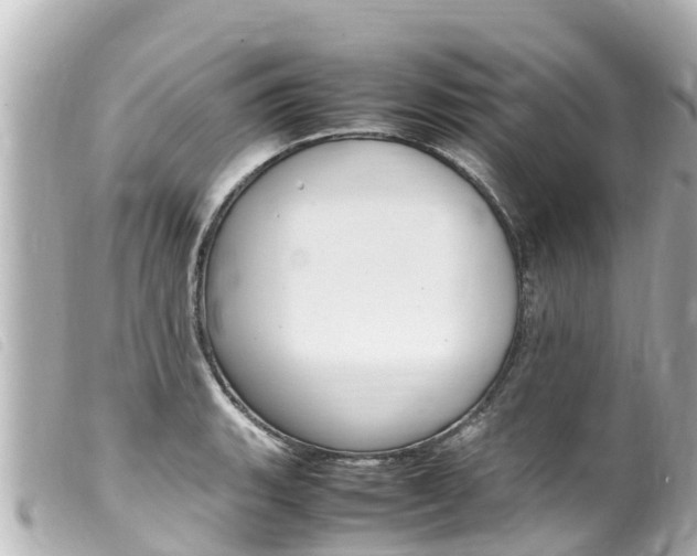 X0000100221135200805300742