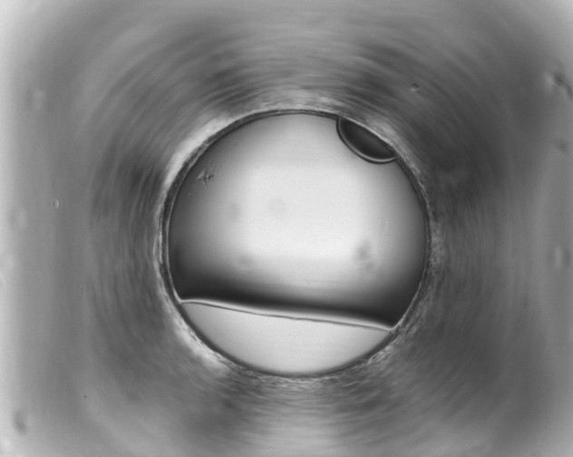 X0000100221136200805300742