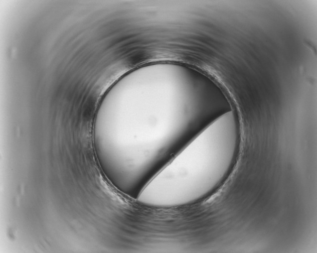 X0000100221137200805300742