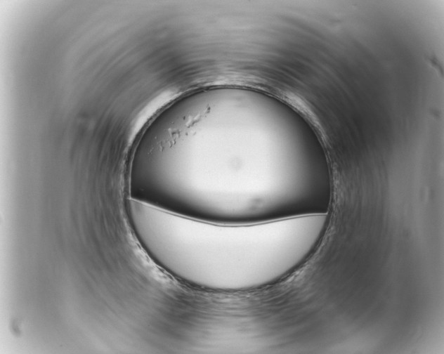 X0000100221138200805300742