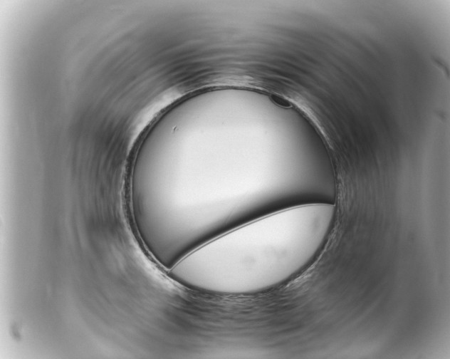 X0000100221139200805300742