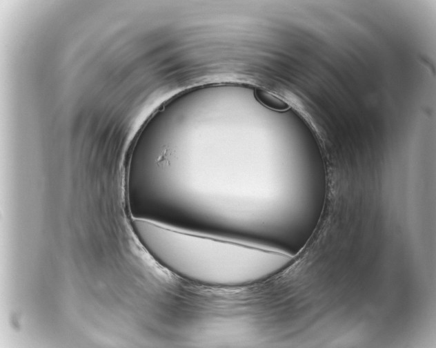 X0000100221140200805300742