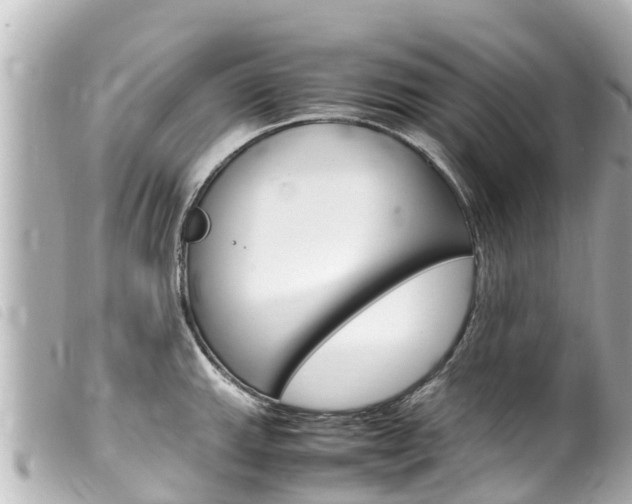 X0000100221143200805300742