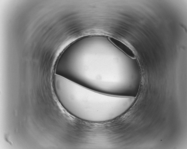 X0000100221144200805300742