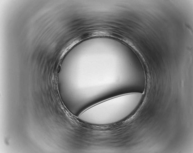 X0000100221145200805300742