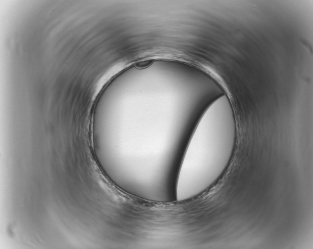 X0000100221146200805300742