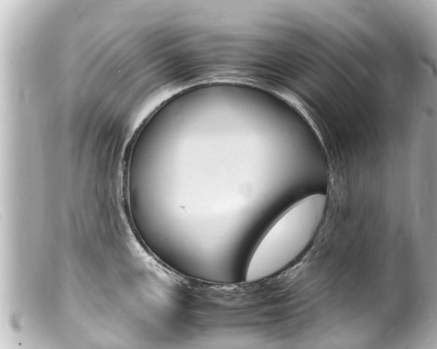 X0000100221147200805300742