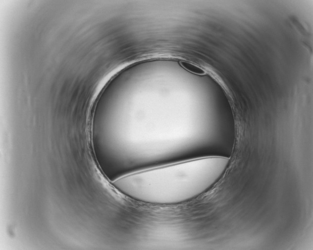 X0000100221148200805300742