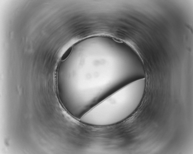 X0000100221151200805300742