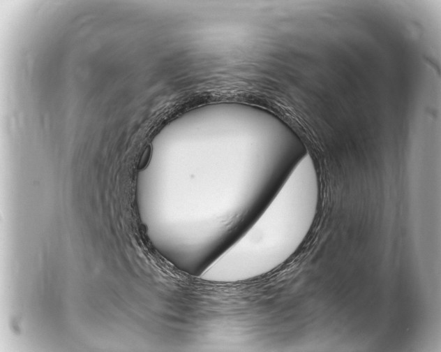 X0000100221153200805300741