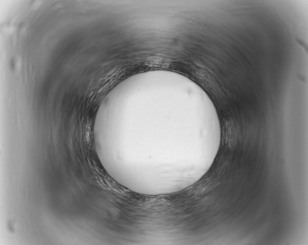 X0000100221154200805300741