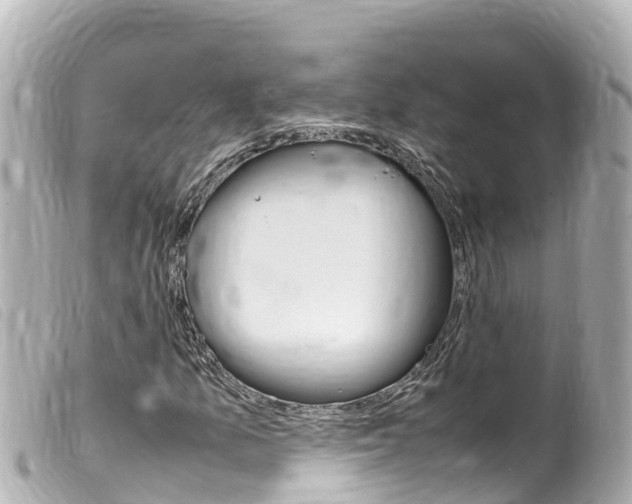 X0000100221157200805300741