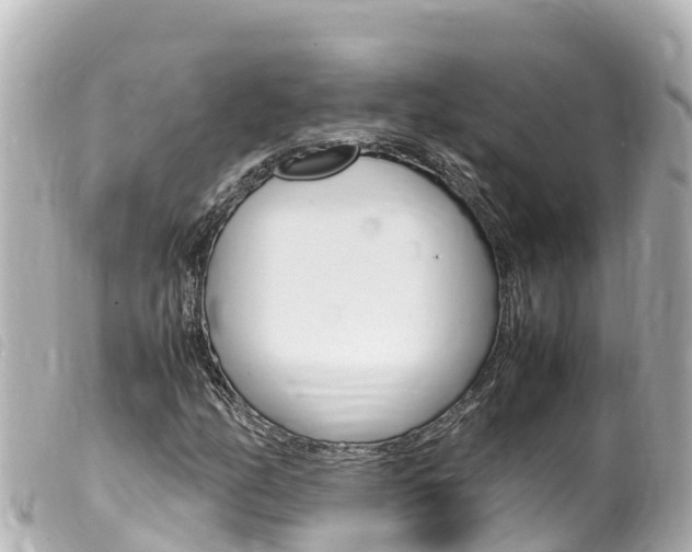 X0000100221158200805300741