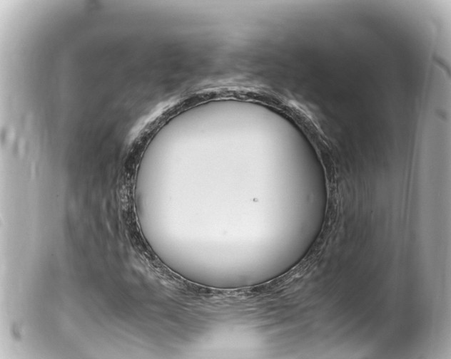 X0000100221159200805300741