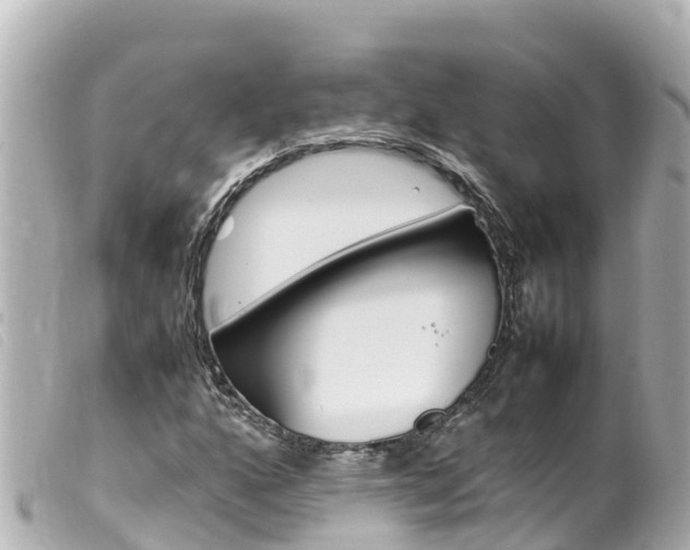 X0000100221160200805300741