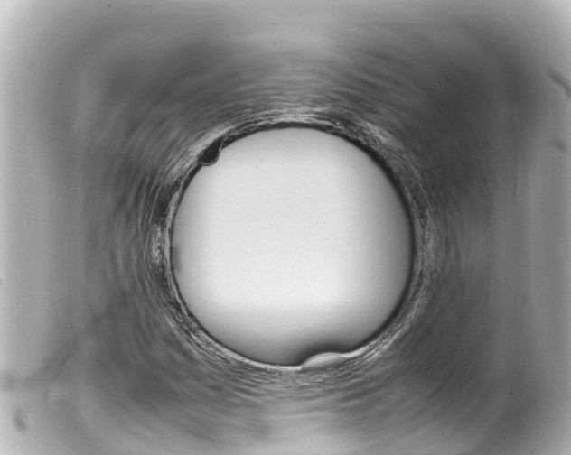 X0000100221161200805300741