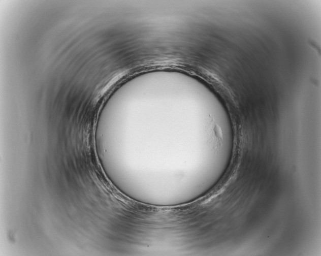 X0000100221162200805300741