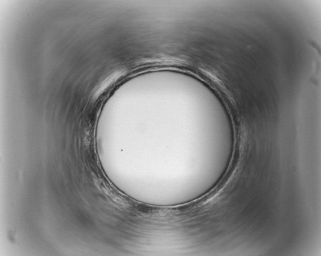 X0000100221163200805300741