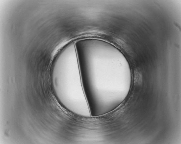 X0000100221164200805300741