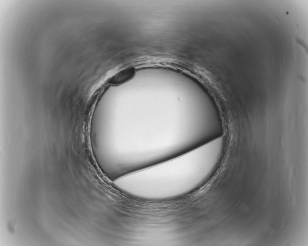 X0000100221165200805300741