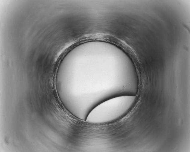 X0000100221166200805300741