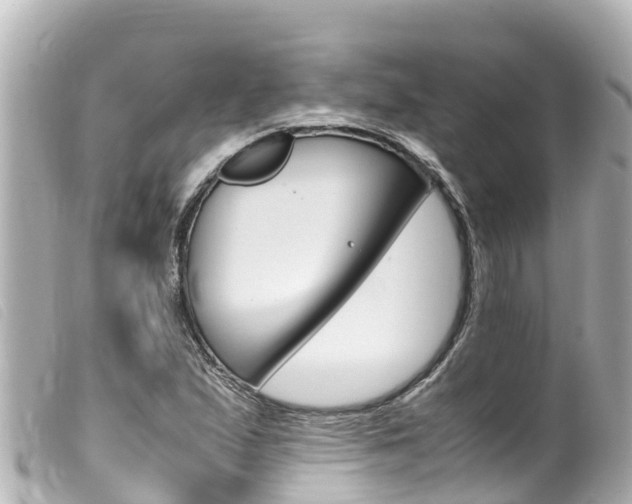 X0000100221167200805300741