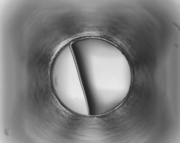 X0000100221168200805300741