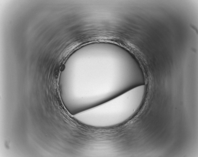 X0000100221169200805300741