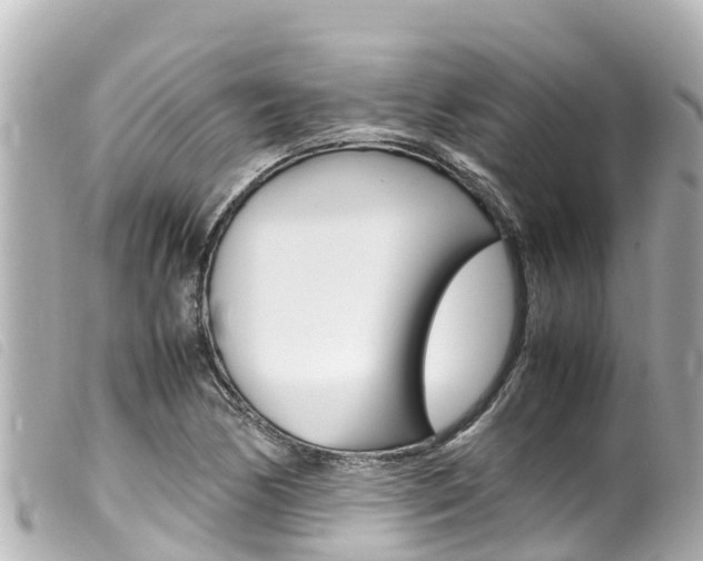 X0000100221170200805300741