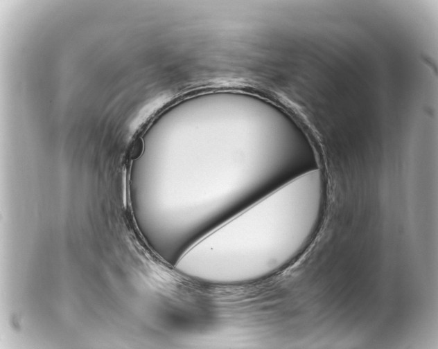 X0000100221171200805300741
